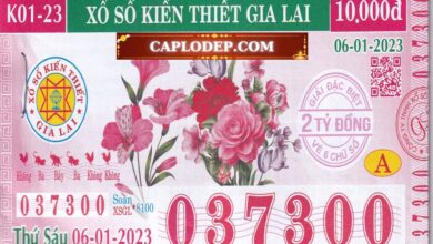 Xổ Số Kiến Thiết Gia Lai